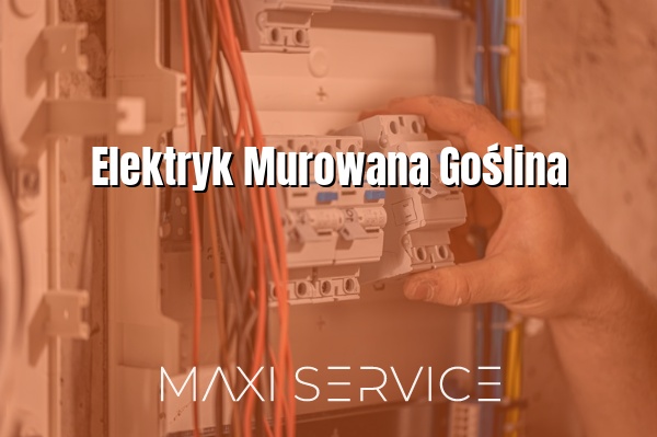 Elektryk Murowana Goślina - Maxi Service