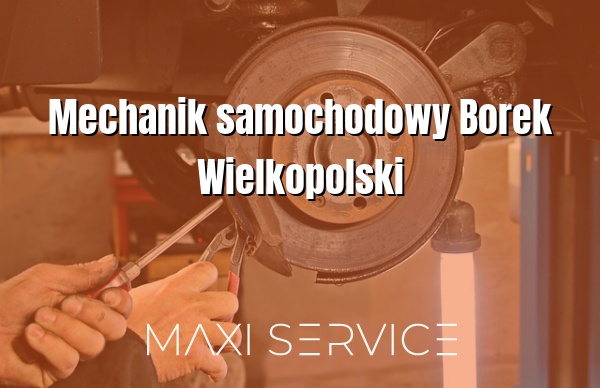 Mechanik samochodowy Borek Wielkopolski - Maxi Service