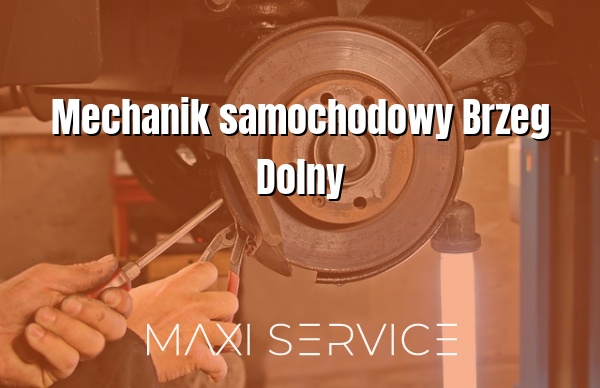Mechanik samochodowy Brzeg Dolny - Maxi Service
