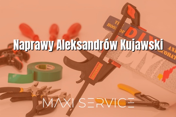Naprawy Aleksandrów Kujawski - Maxi Service