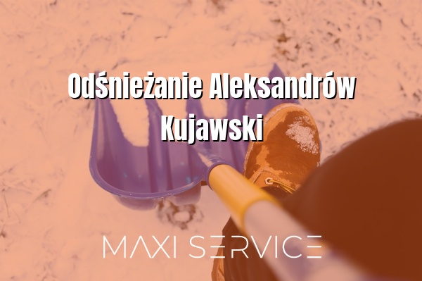 Odśnieżanie Aleksandrów Kujawski - Maxi Service