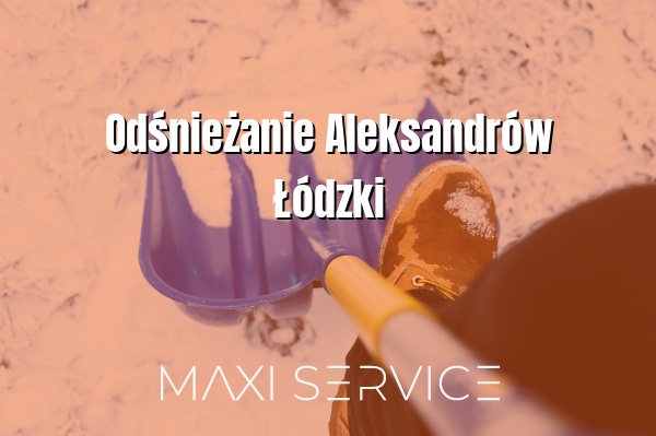 Odśnieżanie Aleksandrów Łódzki - Maxi Service