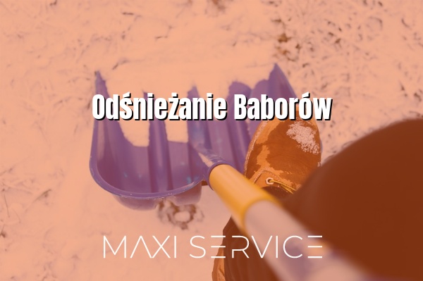 Odśnieżanie Baborów - Maxi Service