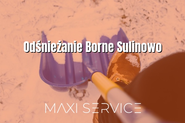 Odśnieżanie Borne Sulinowo - Maxi Service