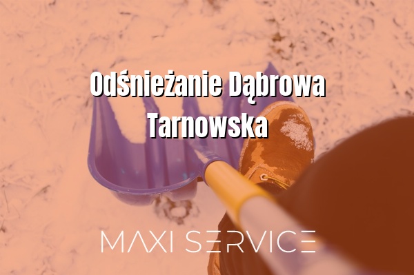 Odśnieżanie Dąbrowa Tarnowska - Maxi Service