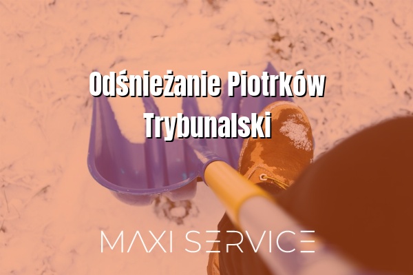 Odśnieżanie Piotrków Trybunalski - Maxi Service