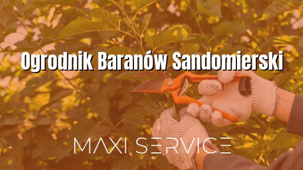 Ogrodnik Baranów Sandomierski - Maxi Service
