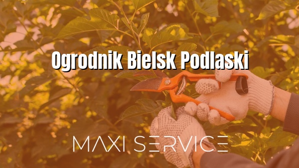Ogrodnik Bielsk Podlaski - Maxi Service