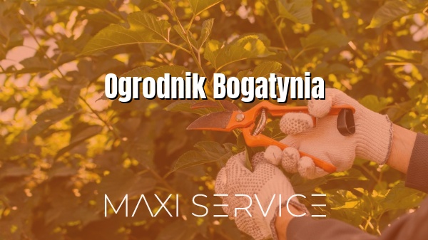 Ogrodnik Bogatynia - Maxi Service