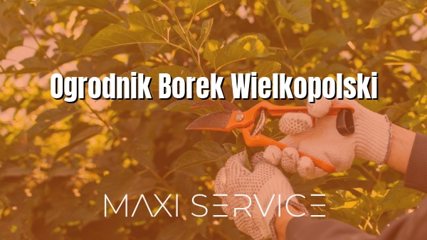 Ogrodnik Borek Wielkopolski - Maxi Service