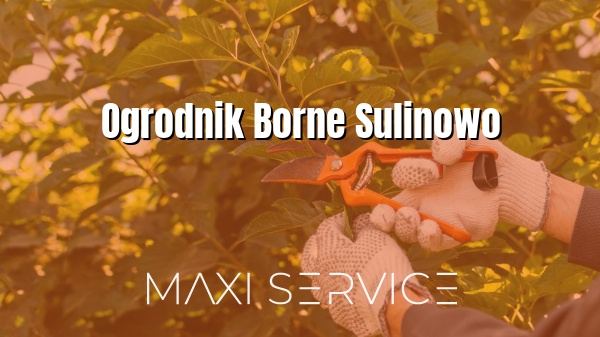 Ogrodnik Borne Sulinowo - Maxi Service