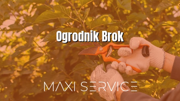Ogrodnik Brok - Maxi Service