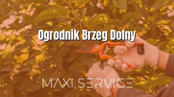 Ogrodnik Brzeg Dolny - Maxi Service