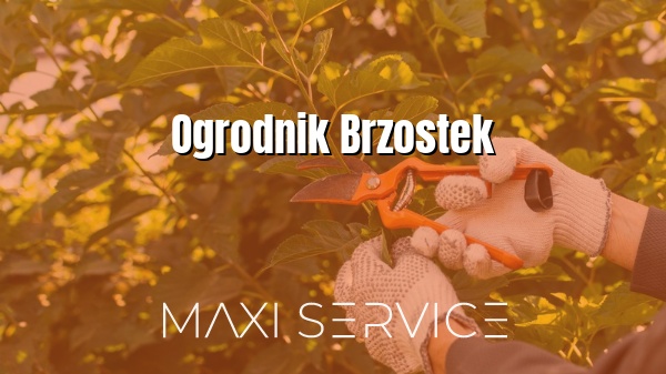 Ogrodnik Brzostek - Maxi Service