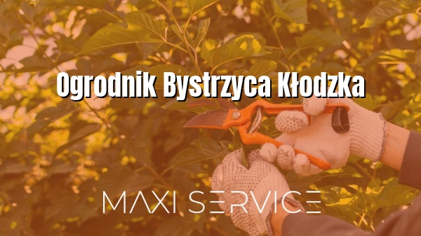 Ogrodnik Bystrzyca Kłodzka - Maxi Service