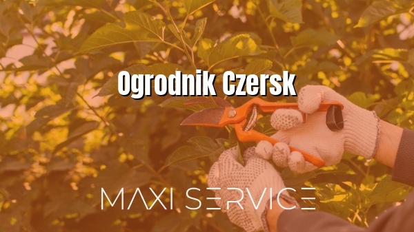 Ogrodnik Czersk - Maxi Service