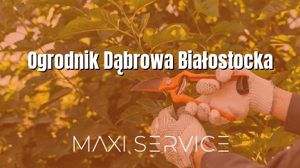 Ogrodnik Dąbrowa Białostocka - Maxi Service