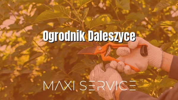 Ogrodnik Daleszyce - Maxi Service