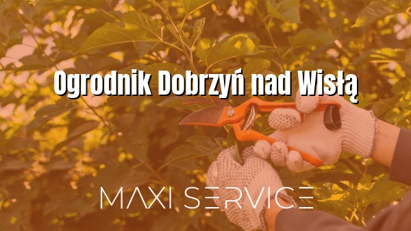 Ogrodnik Dobrzyń nad Wisłą - Maxi Service