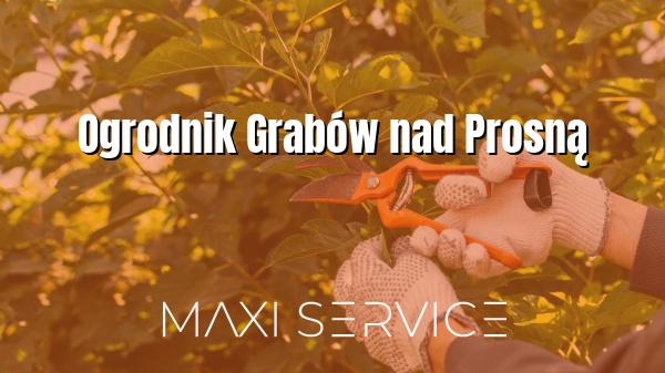 Ogrodnik Grabów nad Prosną - Maxi Service