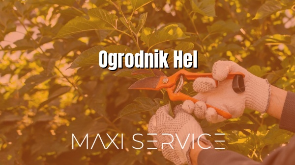 Ogrodnik Hel - Maxi Service