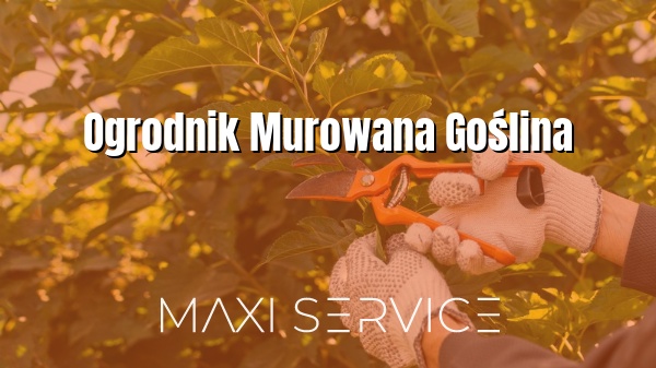 Ogrodnik Murowana Goślina - Maxi Service