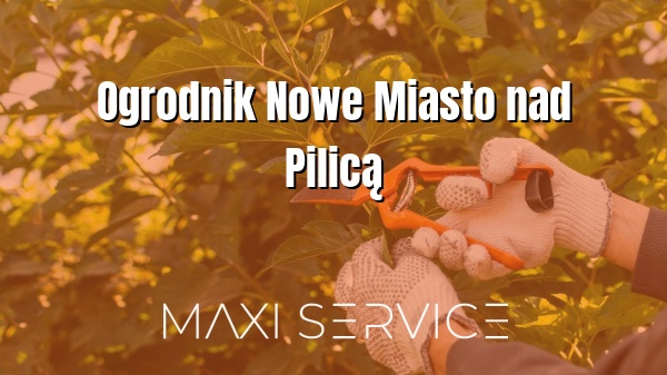 Ogrodnik Nowe Miasto nad Pilicą - Maxi Service