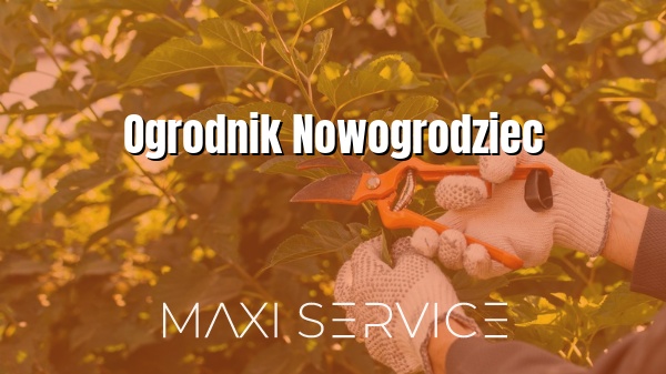 Ogrodnik Nowogrodziec - Maxi Service