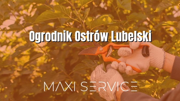 Ogrodnik Ostrów Lubelski - Maxi Service