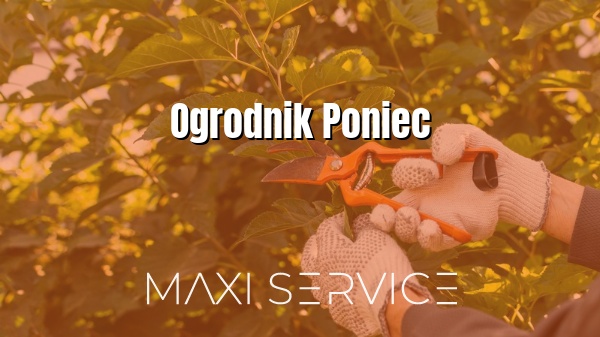 Ogrodnik Poniec - Maxi Service