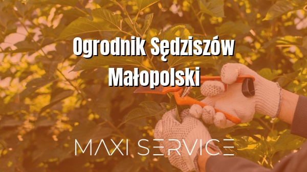 Ogrodnik Sędziszów Małopolski - Maxi Service
