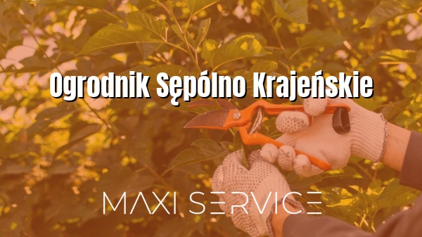 Ogrodnik Sępólno Krajeńskie - Maxi Service