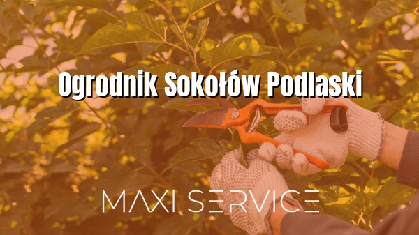 Ogrodnik Sokołów Podlaski - Maxi Service