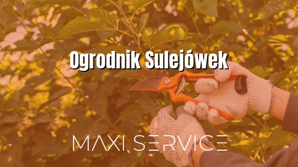 Ogrodnik Sulejówek - Maxi Service