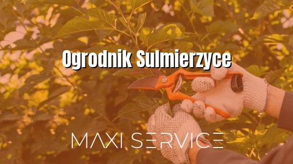 Ogrodnik Sulmierzyce - Maxi Service