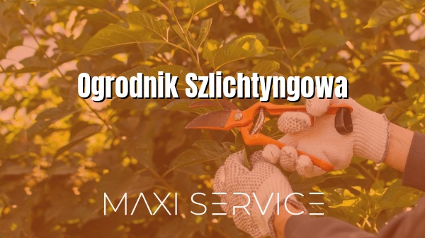 Ogrodnik Szlichtyngowa - Maxi Service