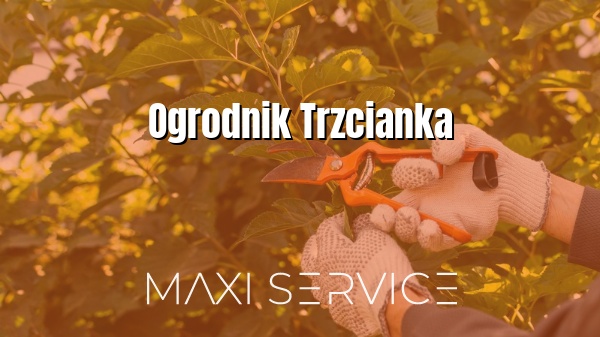 Ogrodnik Trzcianka - Maxi Service