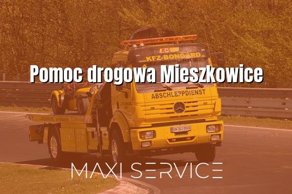 Pomoc drogowa Mieszkowice - Maxi Service