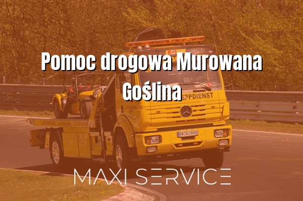 Pomoc drogowa Murowana Goślina - Maxi Service