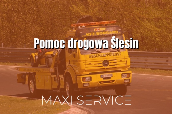 Pomoc drogowa Ślesin - Maxi Service