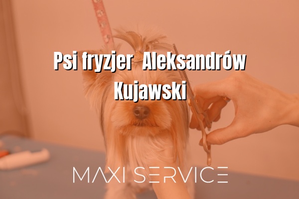 Psi fryzjer  Aleksandrów Kujawski - Maxi Service