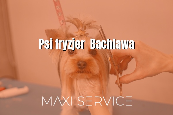 Psi fryzjer  Bachlawa - Maxi Service