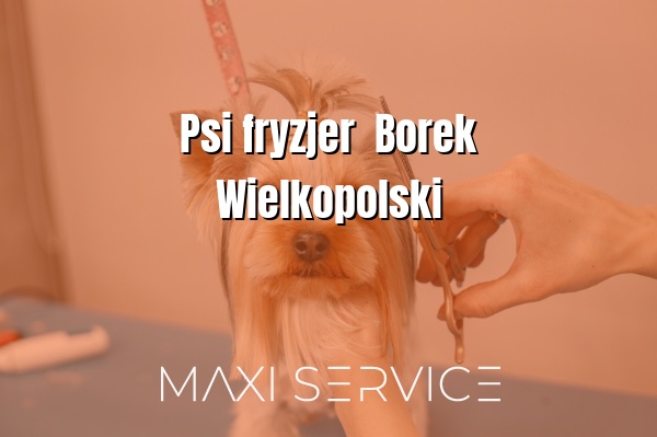 Psi fryzjer  Borek Wielkopolski - Maxi Service