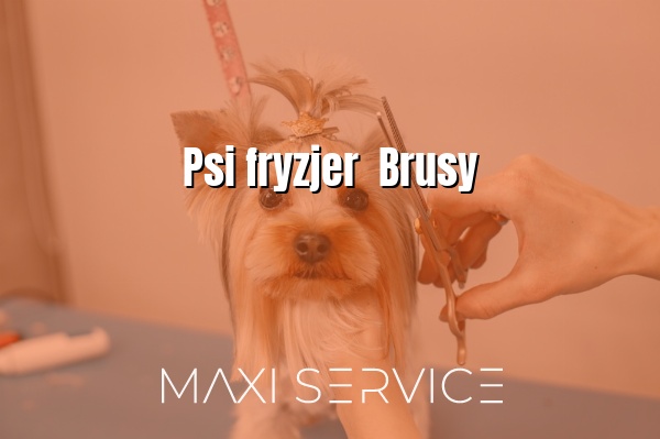 Psi fryzjer  Brusy - Maxi Service