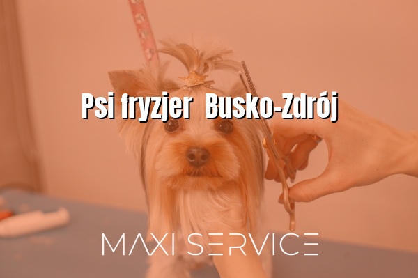 Psi fryzjer  Busko-Zdrój - Maxi Service