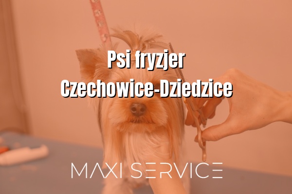 Psi fryzjer  Czechowice-Dziedzice - Maxi Service
