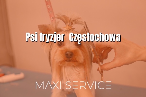 Psi fryzjer  Częstochowa - Maxi Service