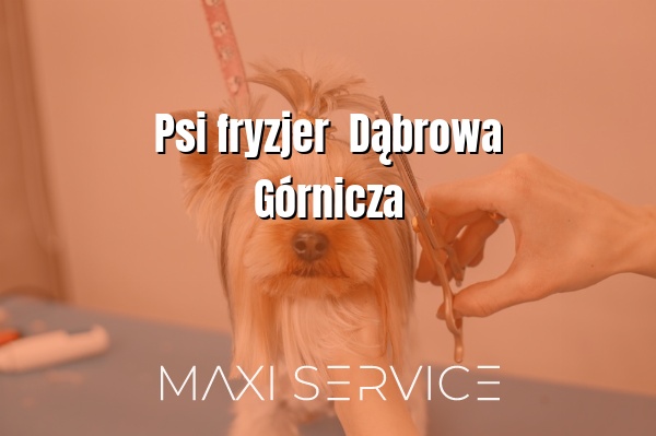 Psi fryzjer  Dąbrowa Górnicza - Maxi Service