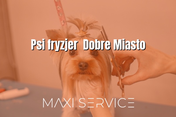 Psi fryzjer  Dobre Miasto - Maxi Service