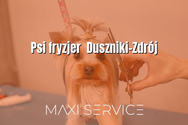 Psi fryzjer  Duszniki-Zdrój - Maxi Service